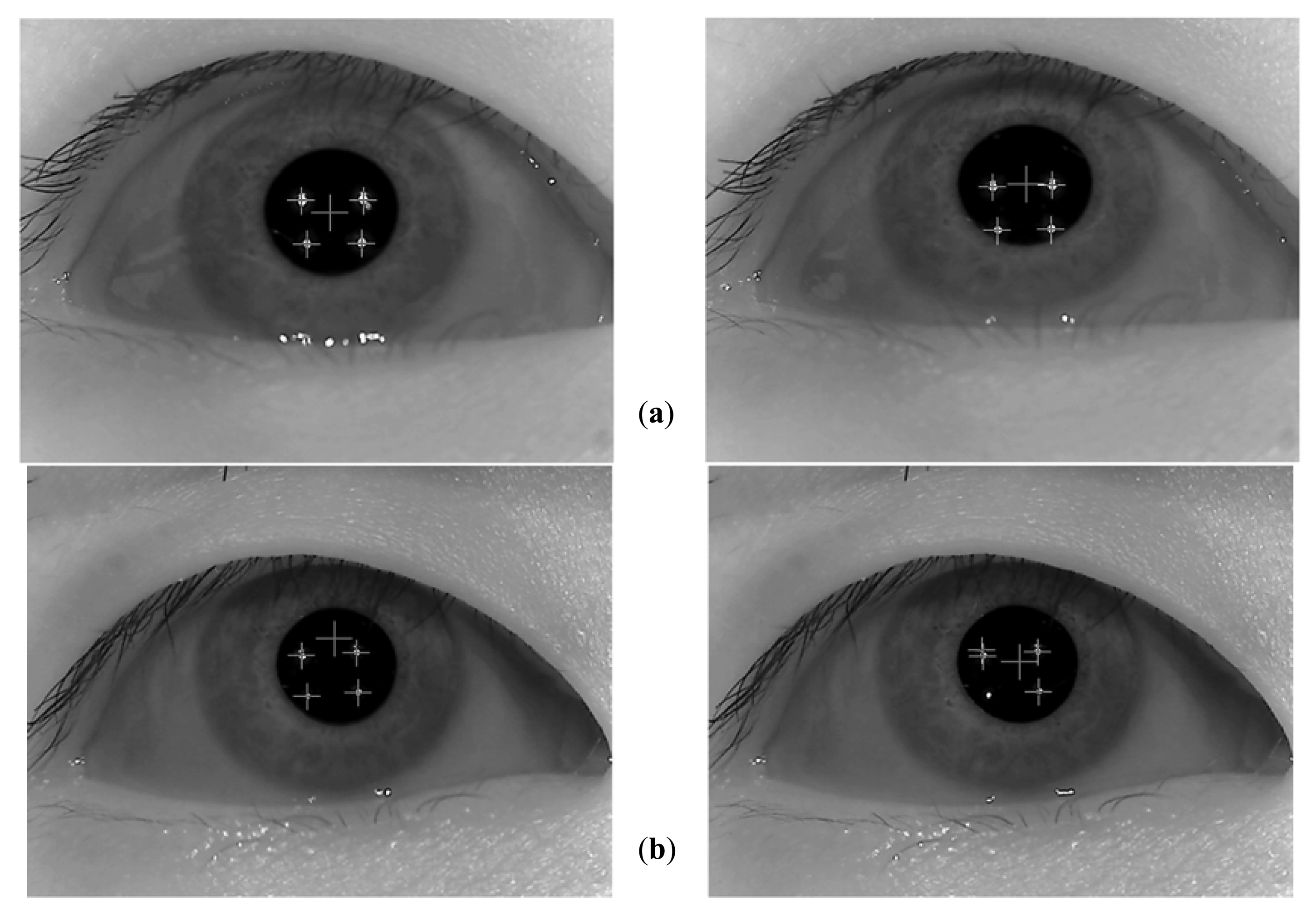 Sensors 13 03454f10 1024