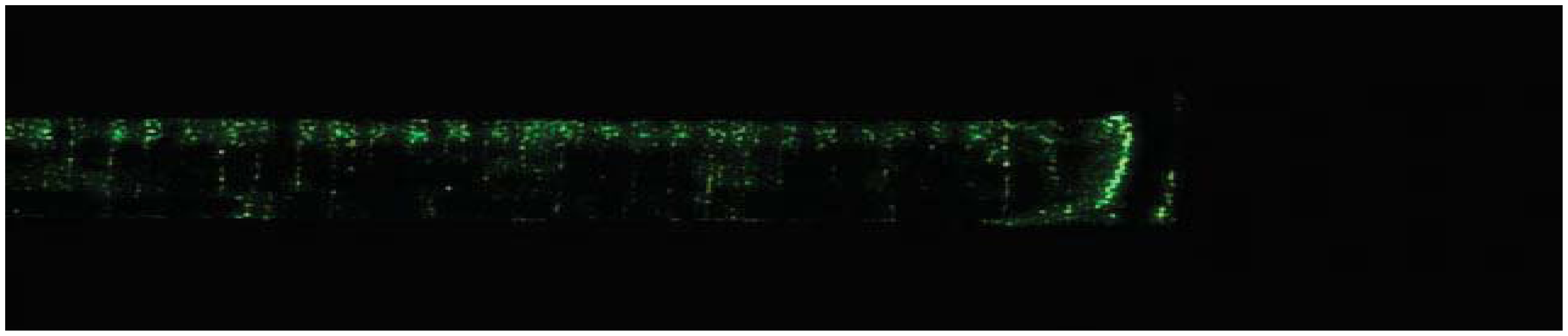 Sensors 13 04067f17 1024
