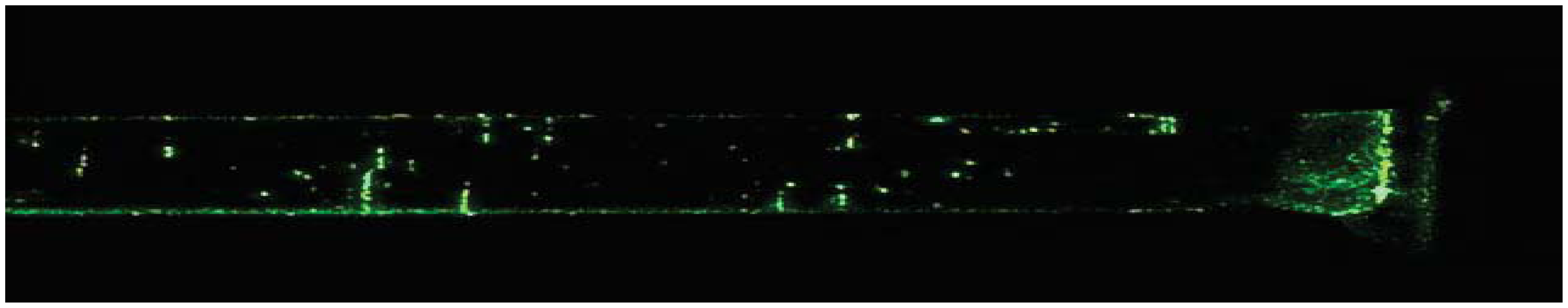 Sensors 13 04067f18 1024