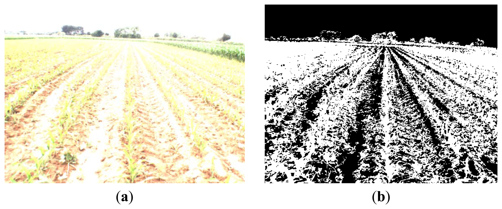 Sensors 13 04348f12 1024