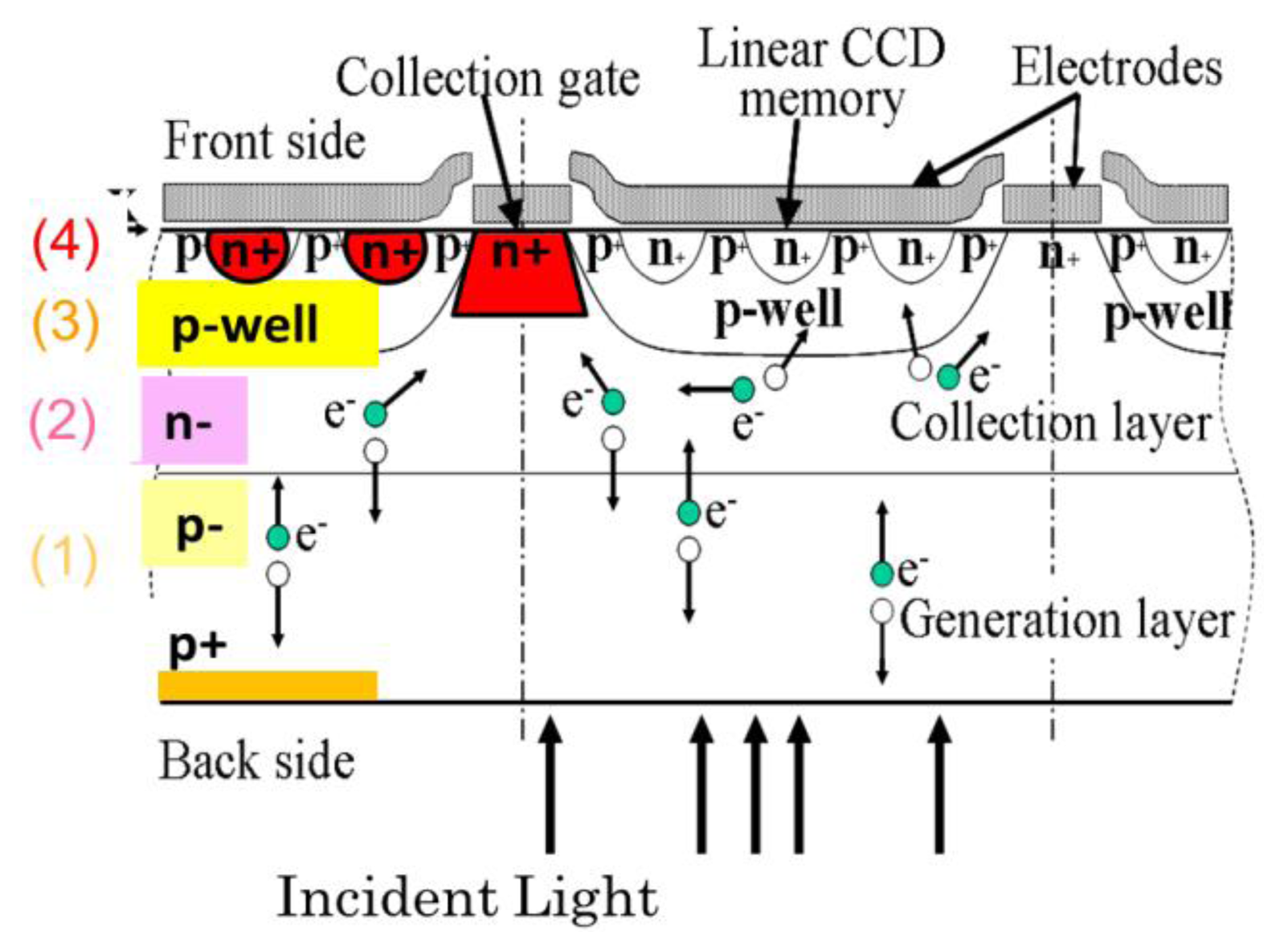Sensors 13 04640f2 1024