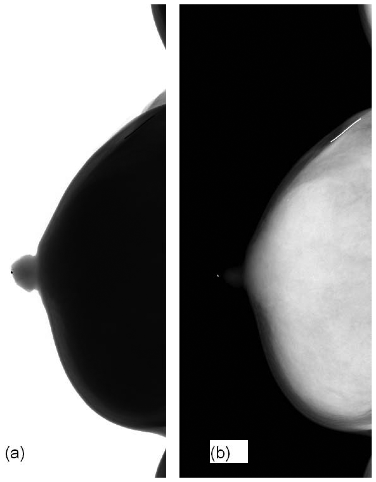 Sensors 13 04855f4 1024