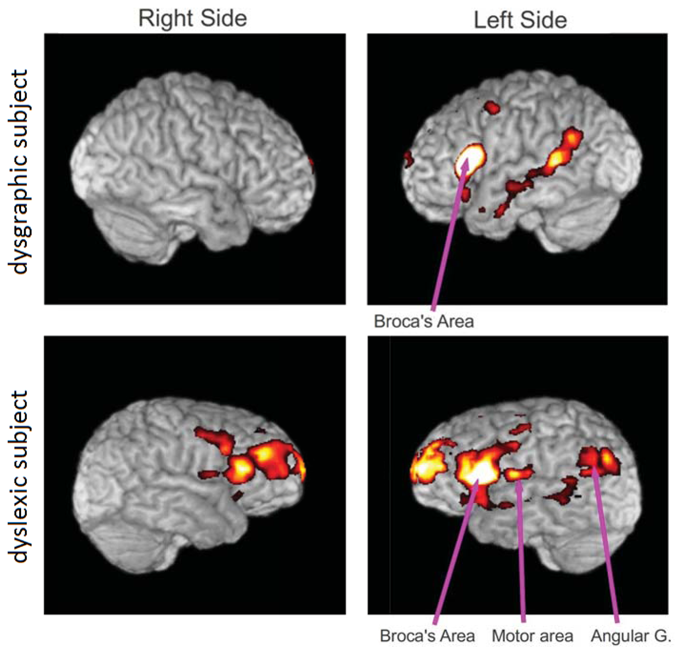 Sensors 13 05099f7 1024