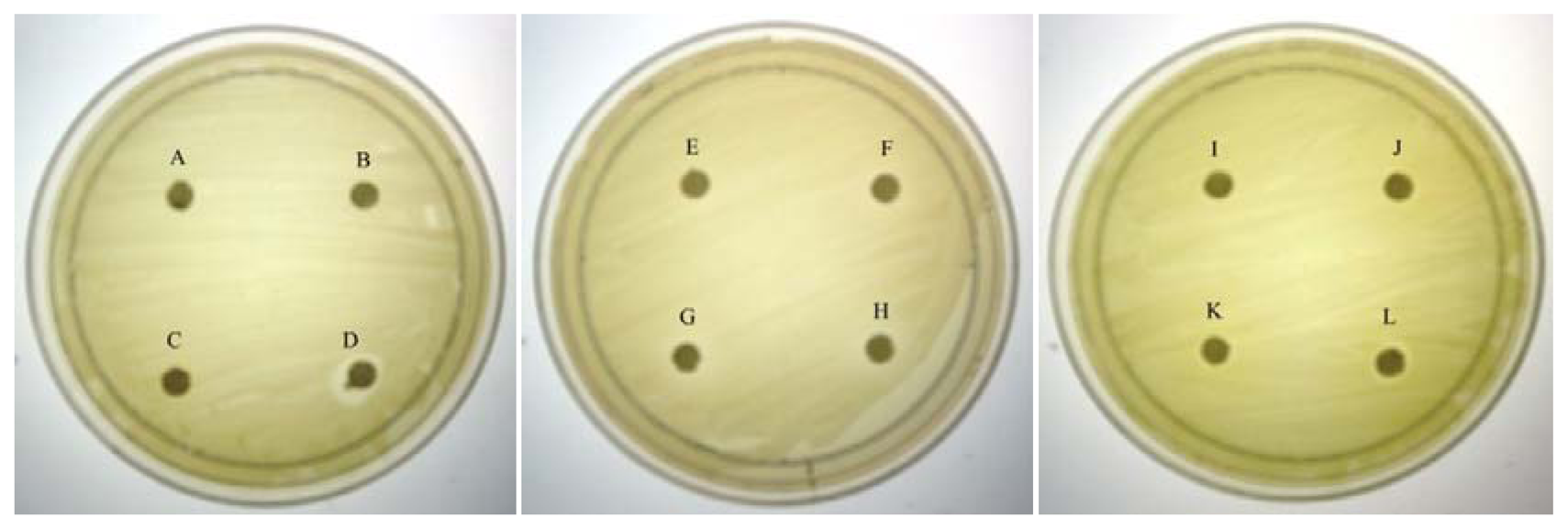 Sensors 13 05117f1 1024
