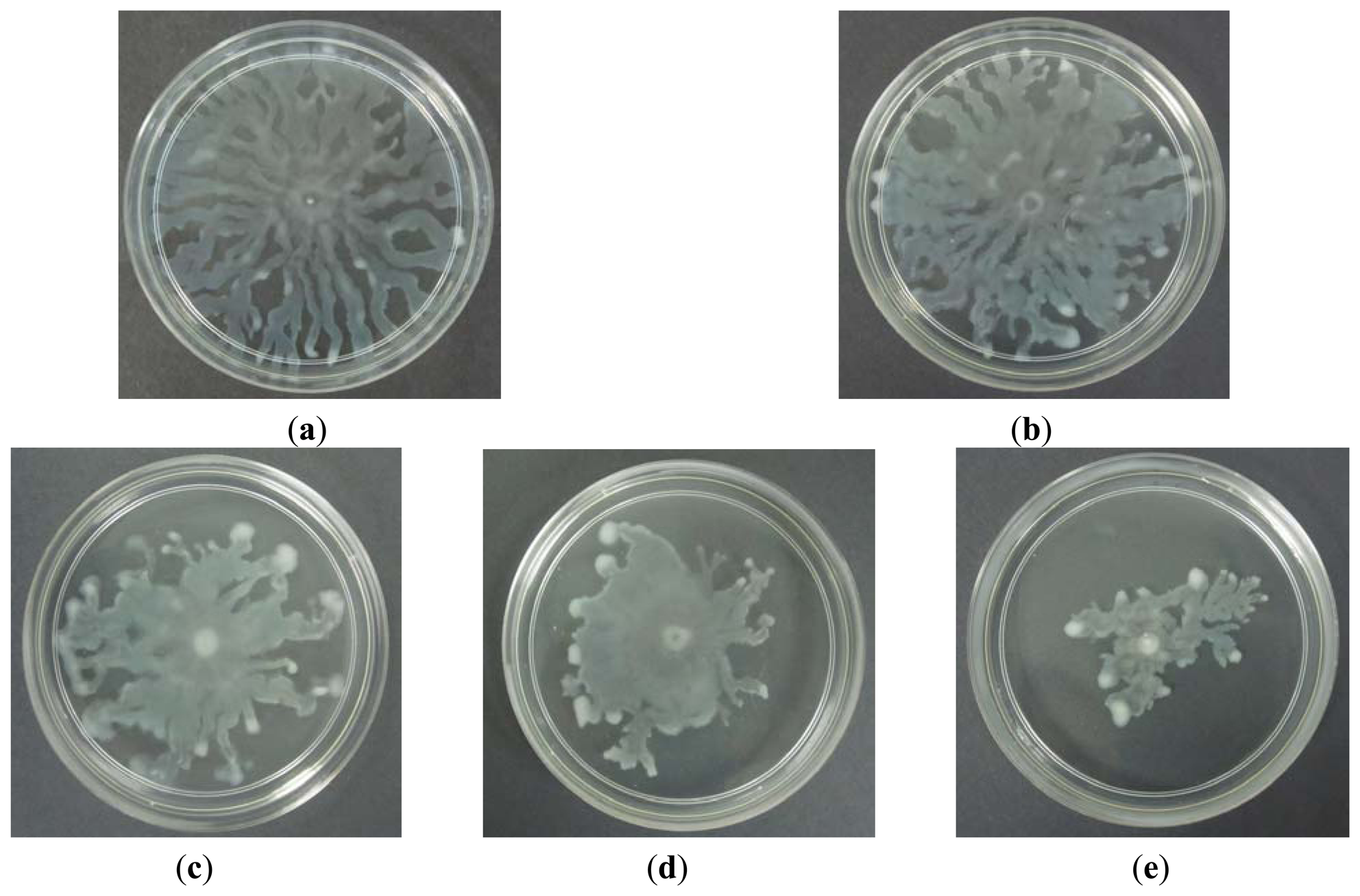 Sensors 13 05117f6 1024