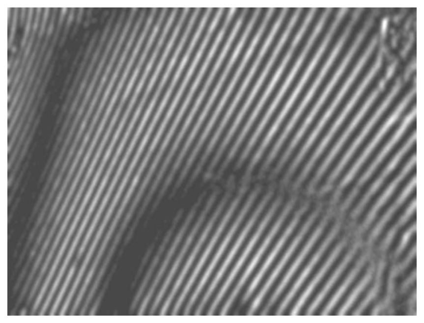 Sensors 13 05368f13 1024