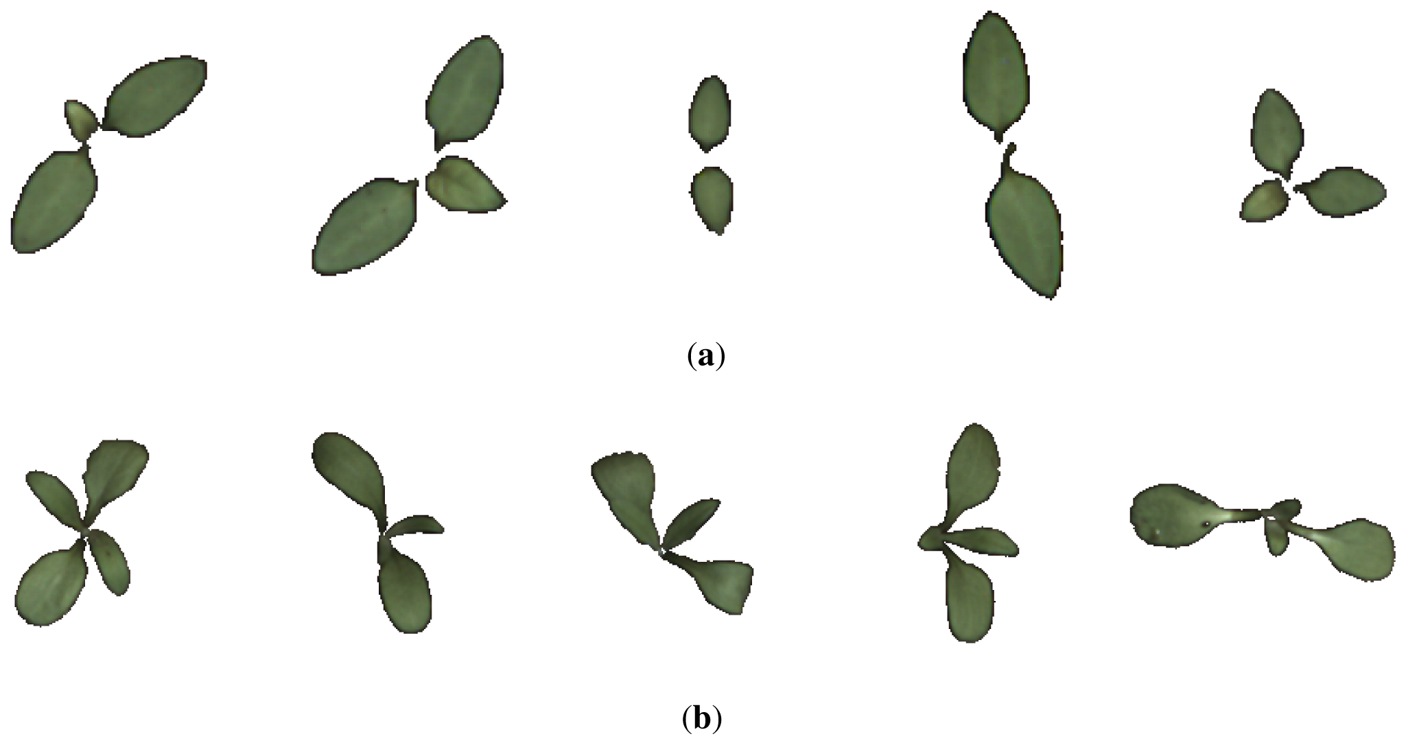 Sensors 13 05585f1 1024