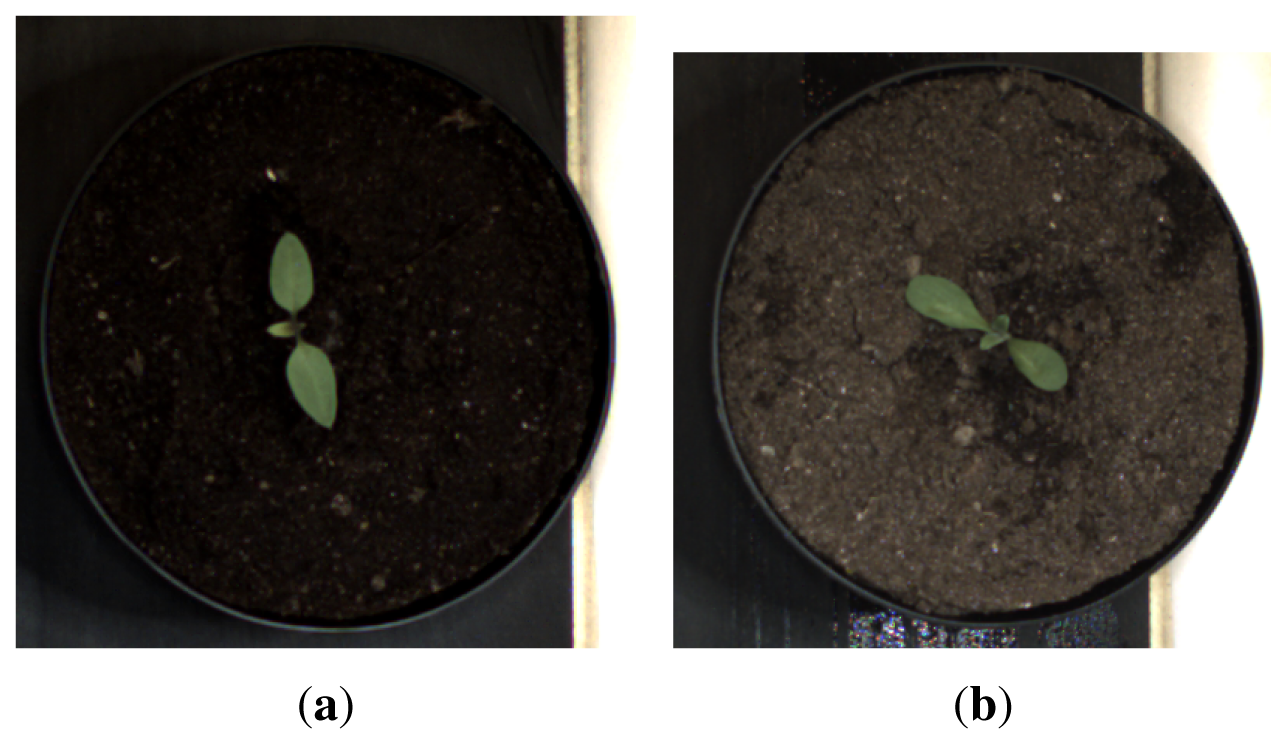 Sensors 13 05585f3 1024