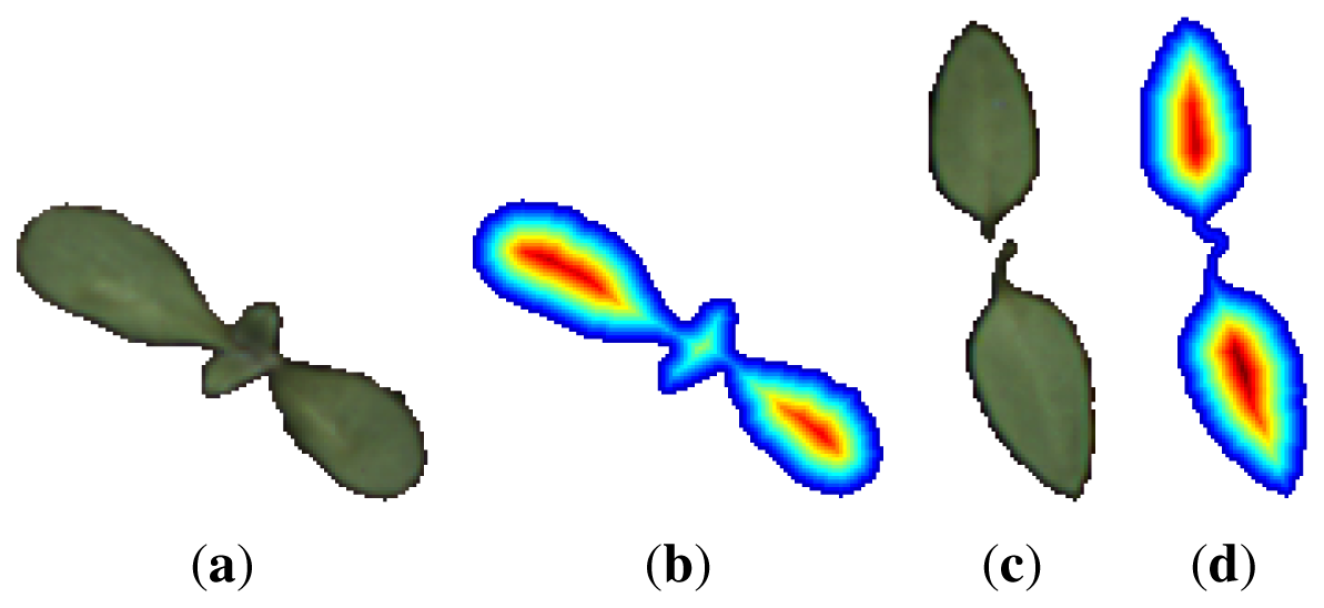 Sensors 13 05585f4 1024