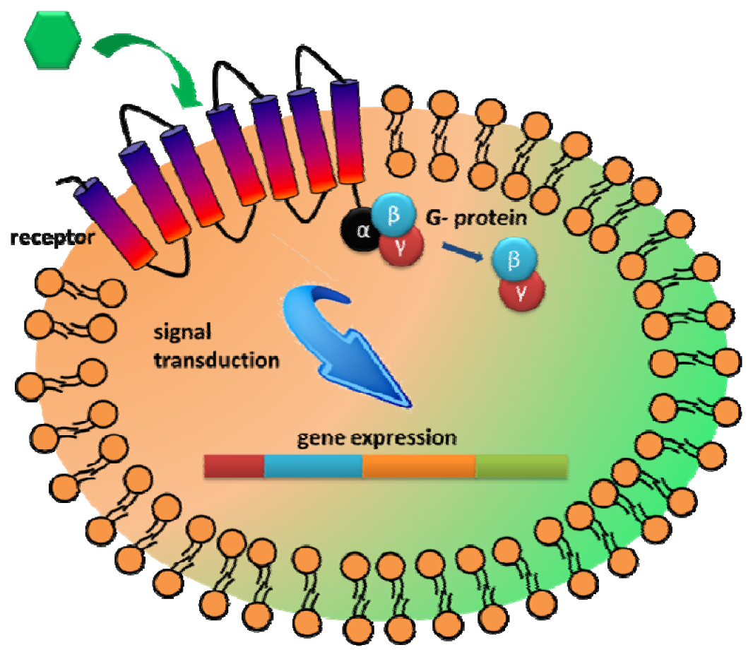 Sensors 13 05777f5 1024