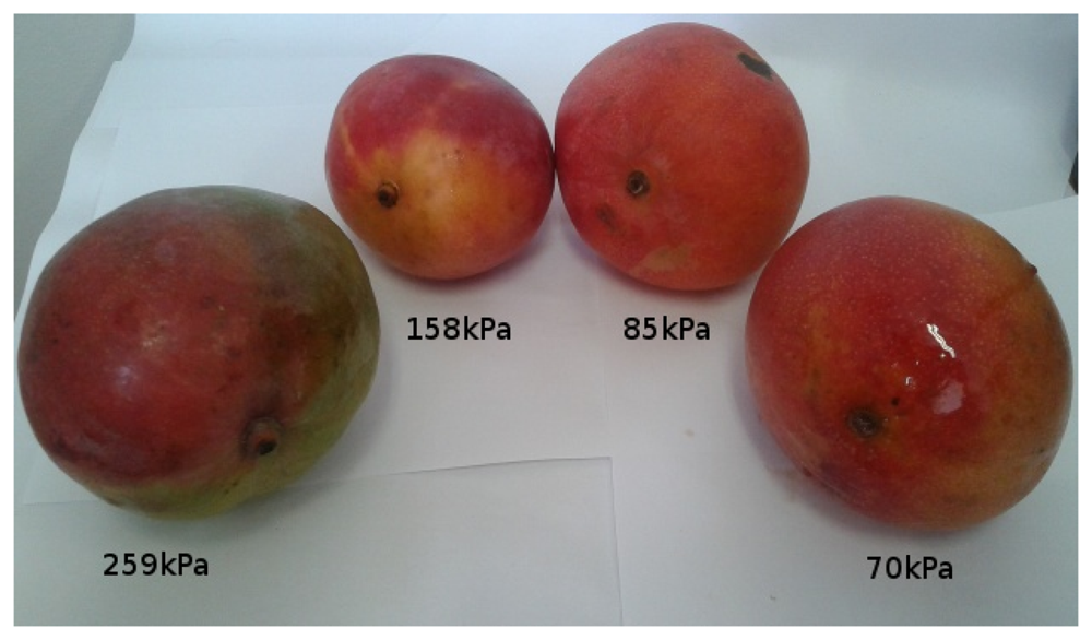 Sensors 13 06109f13 1024