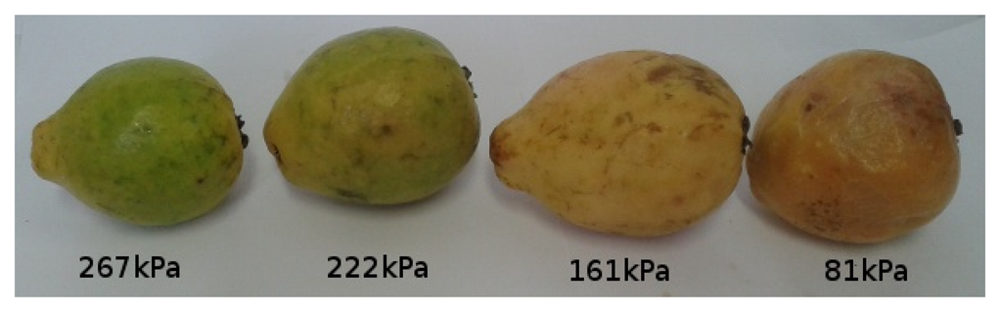 Sensors 13 06109f16 1024