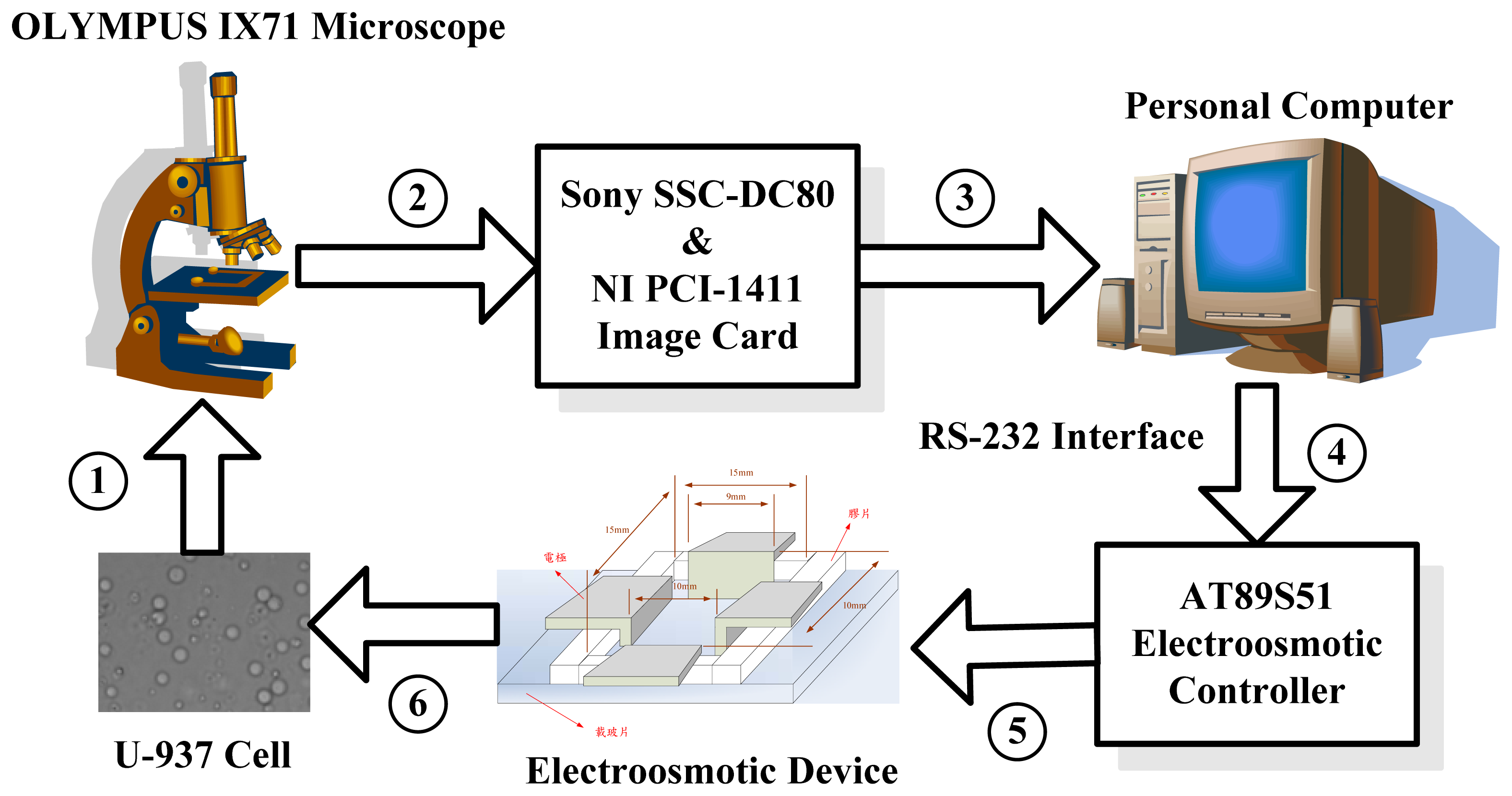 Sensors 13 06793f1 1024