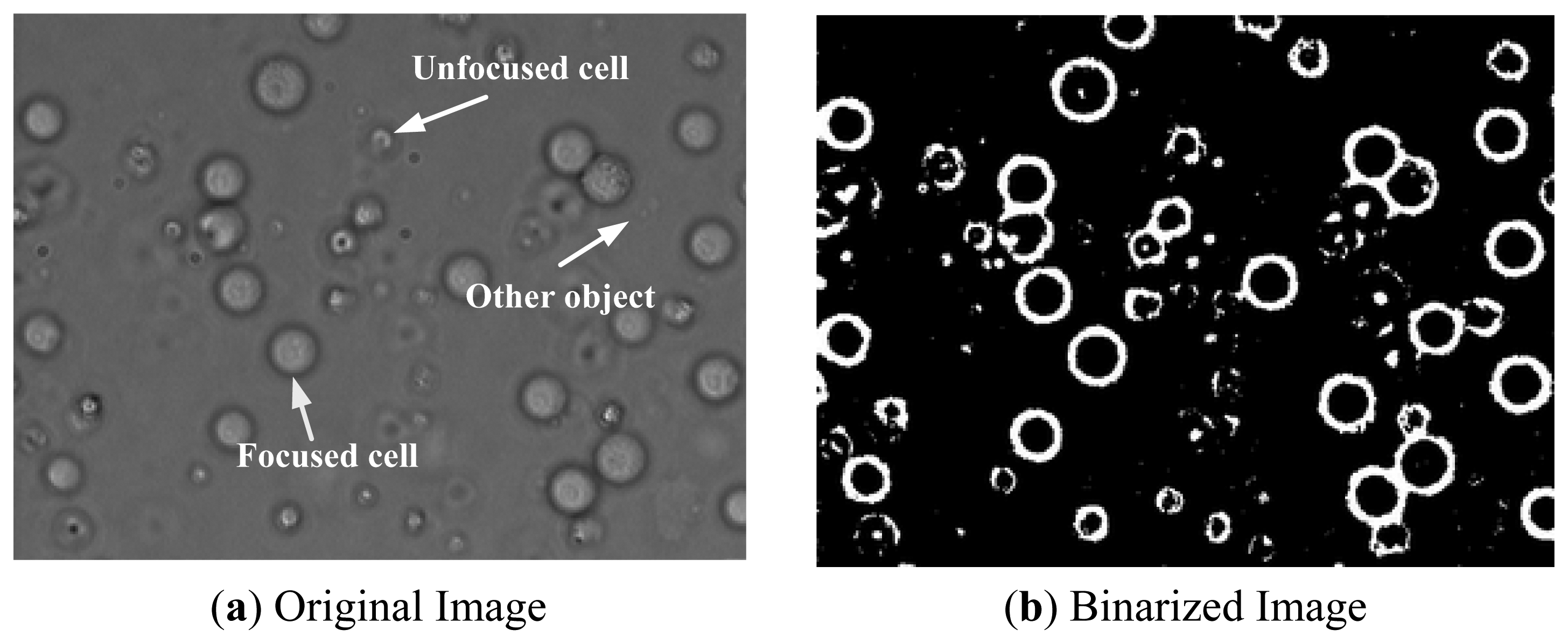 Sensors 13 06793f3 1024