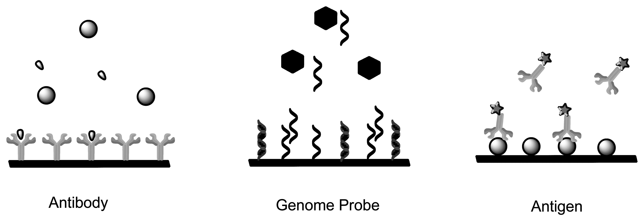 Sensors 13 07680f3 1024