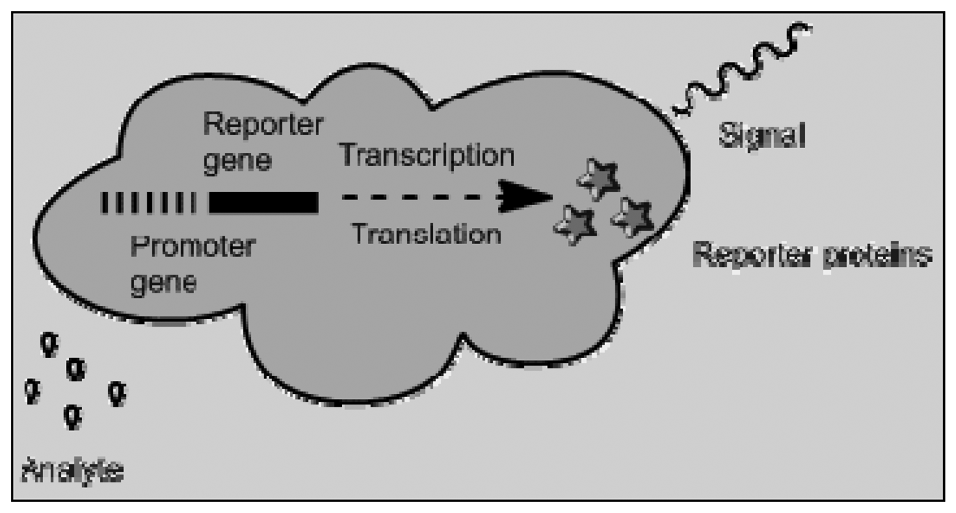 Sensors 13 07680f6 1024