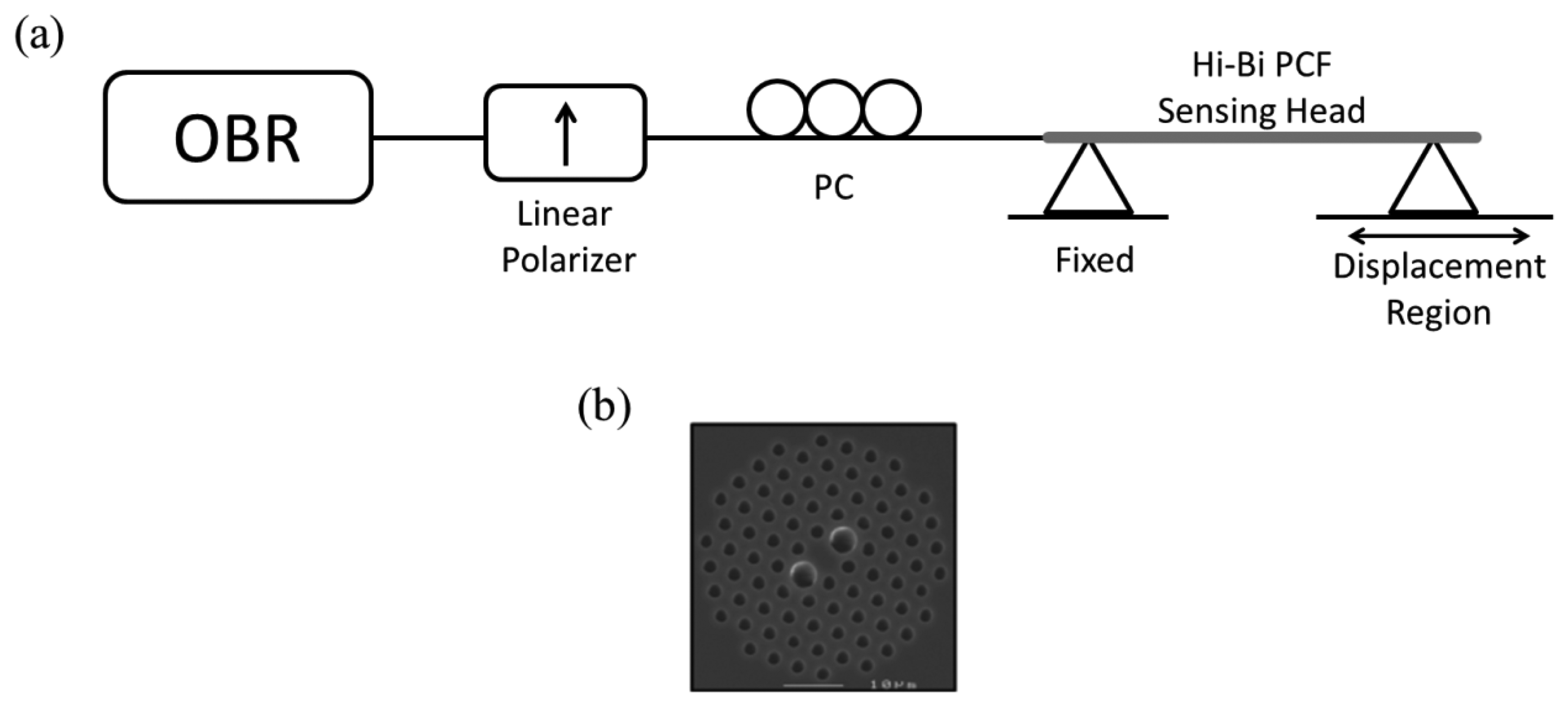Sensors 13 08095f1 1024