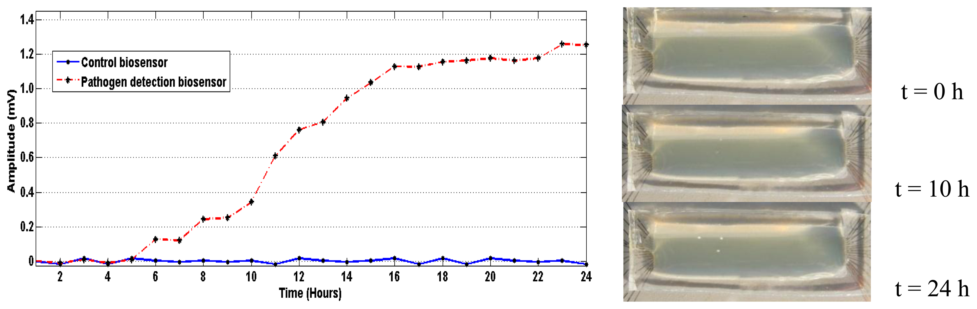 Sensors 13 08188f8 1024