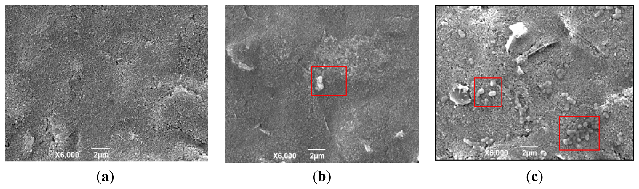 Sensors 13 08551f2 1024