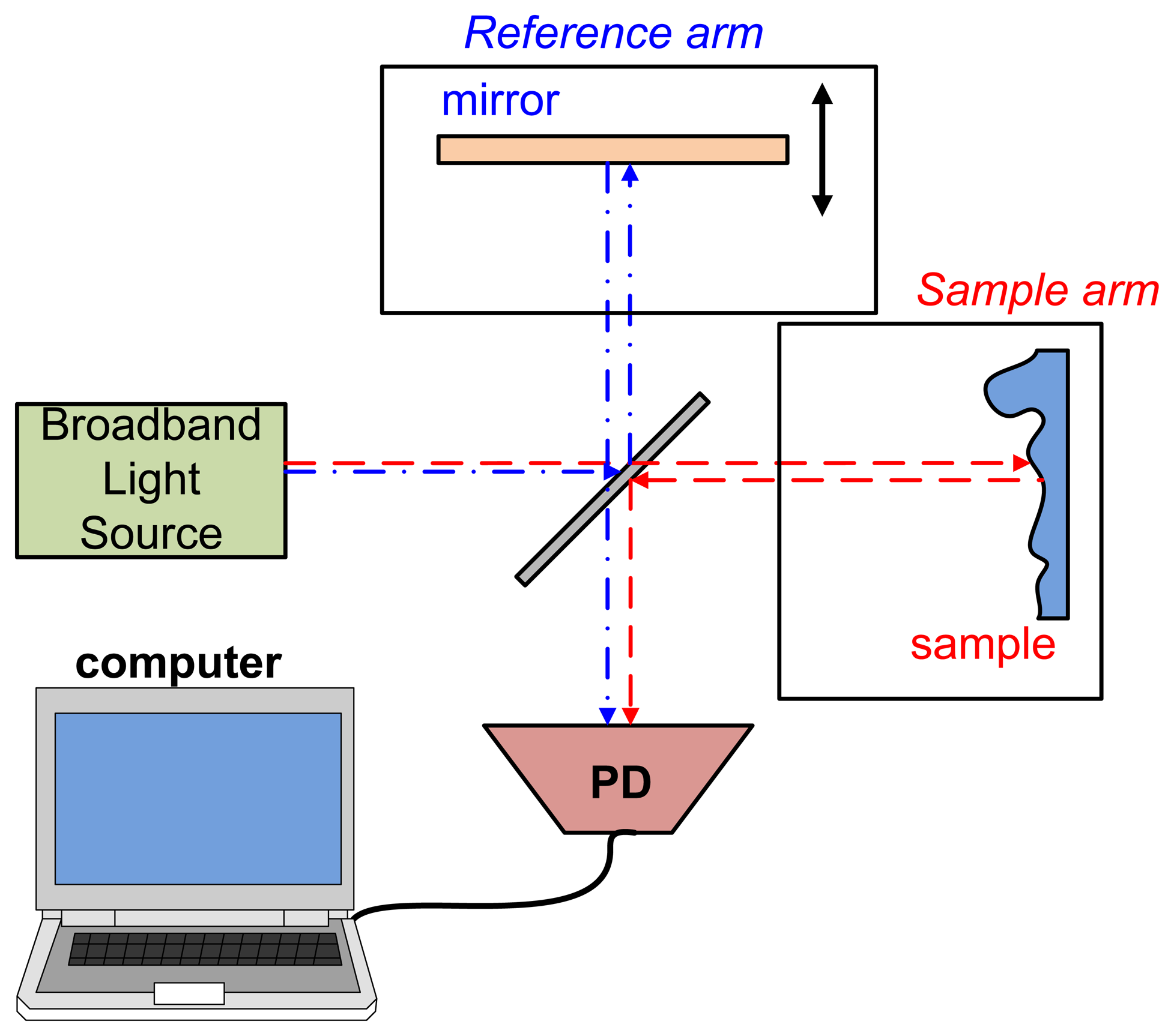 Sensors Free FullText Dental Optical Coherence Tomography