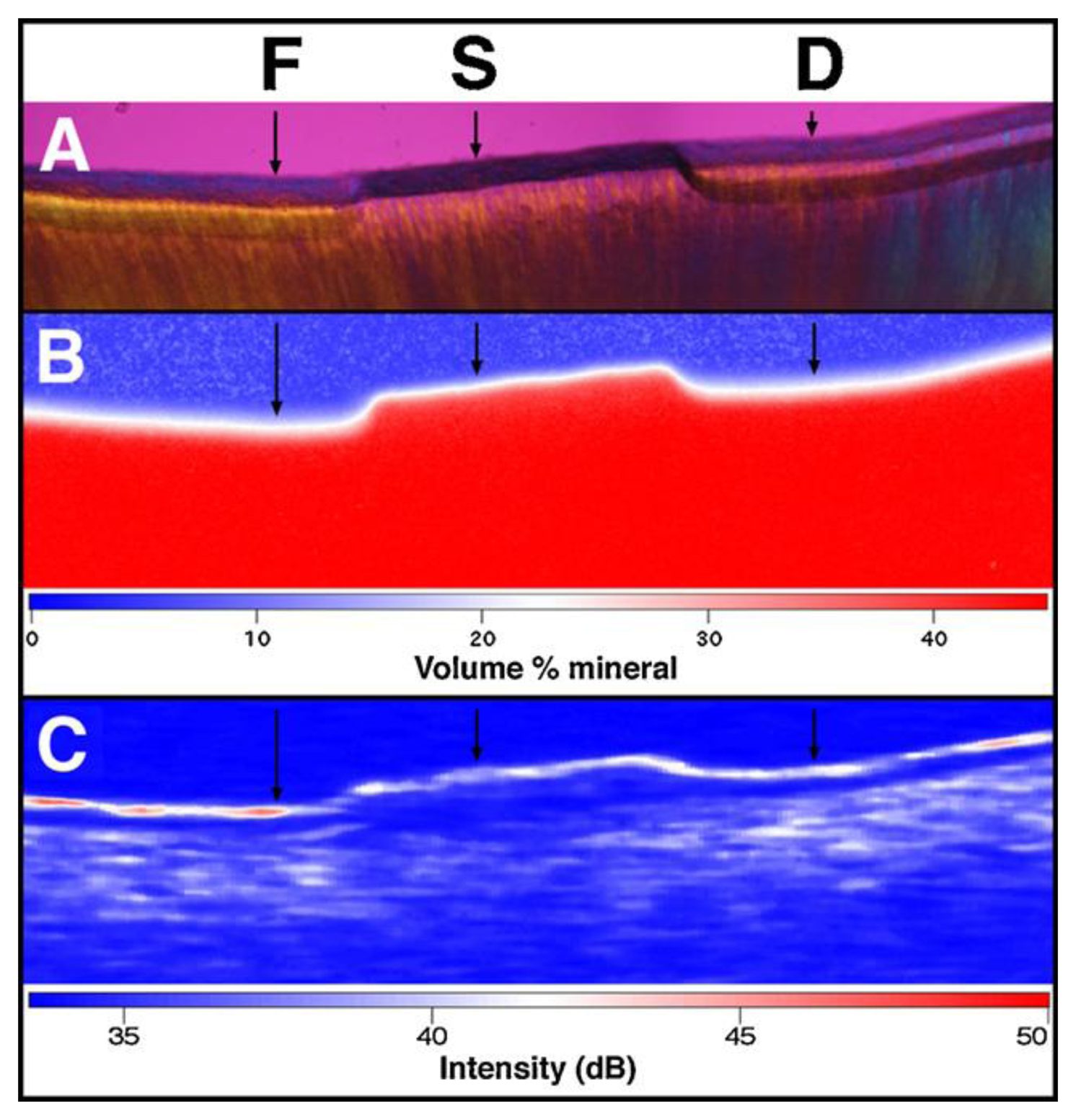 Sensors 13 08928f10 1024