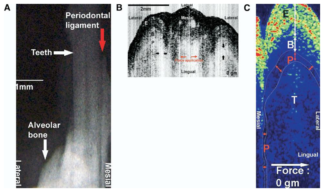 Sensors 13 08928f11 1024