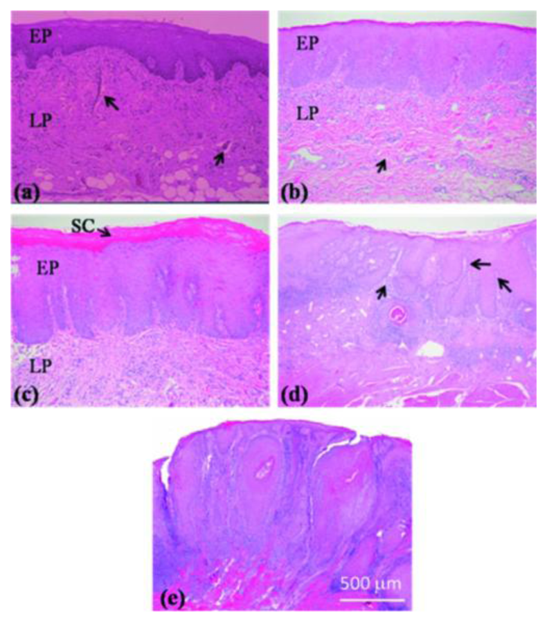 Sensors 13 08928f13 1024