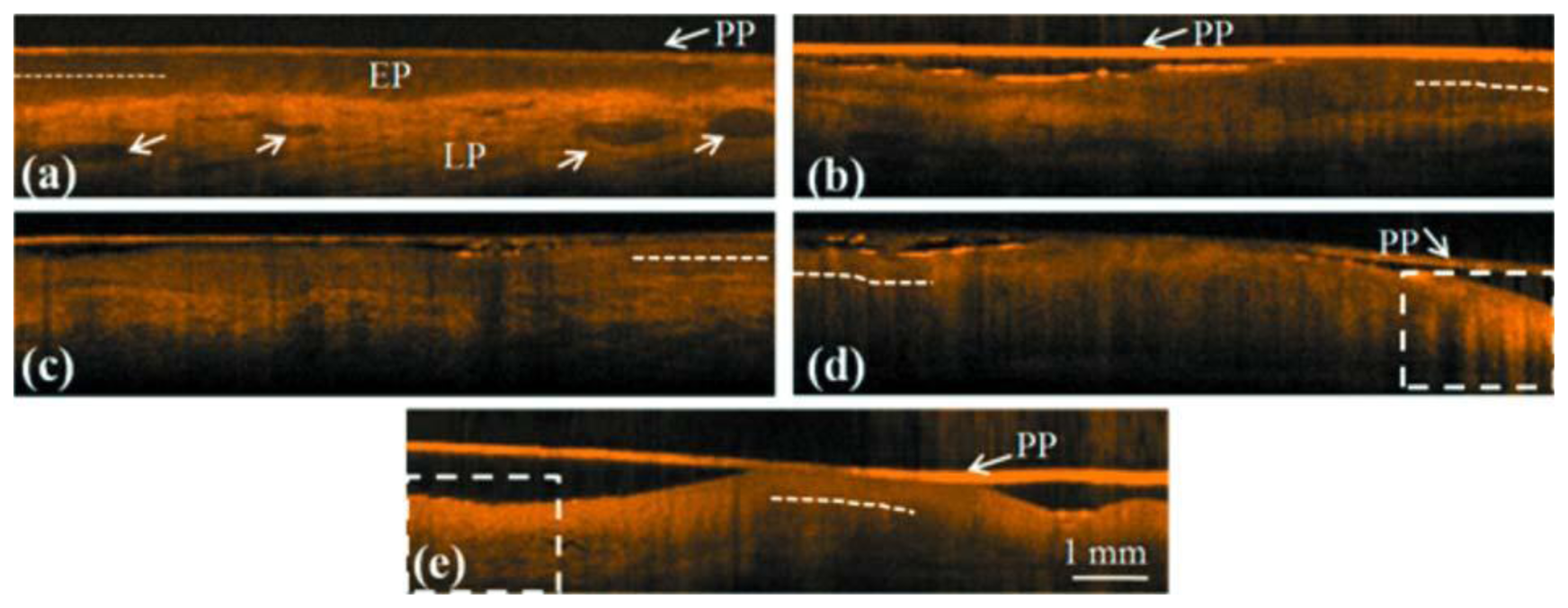 Sensors 13 08928f14 1024