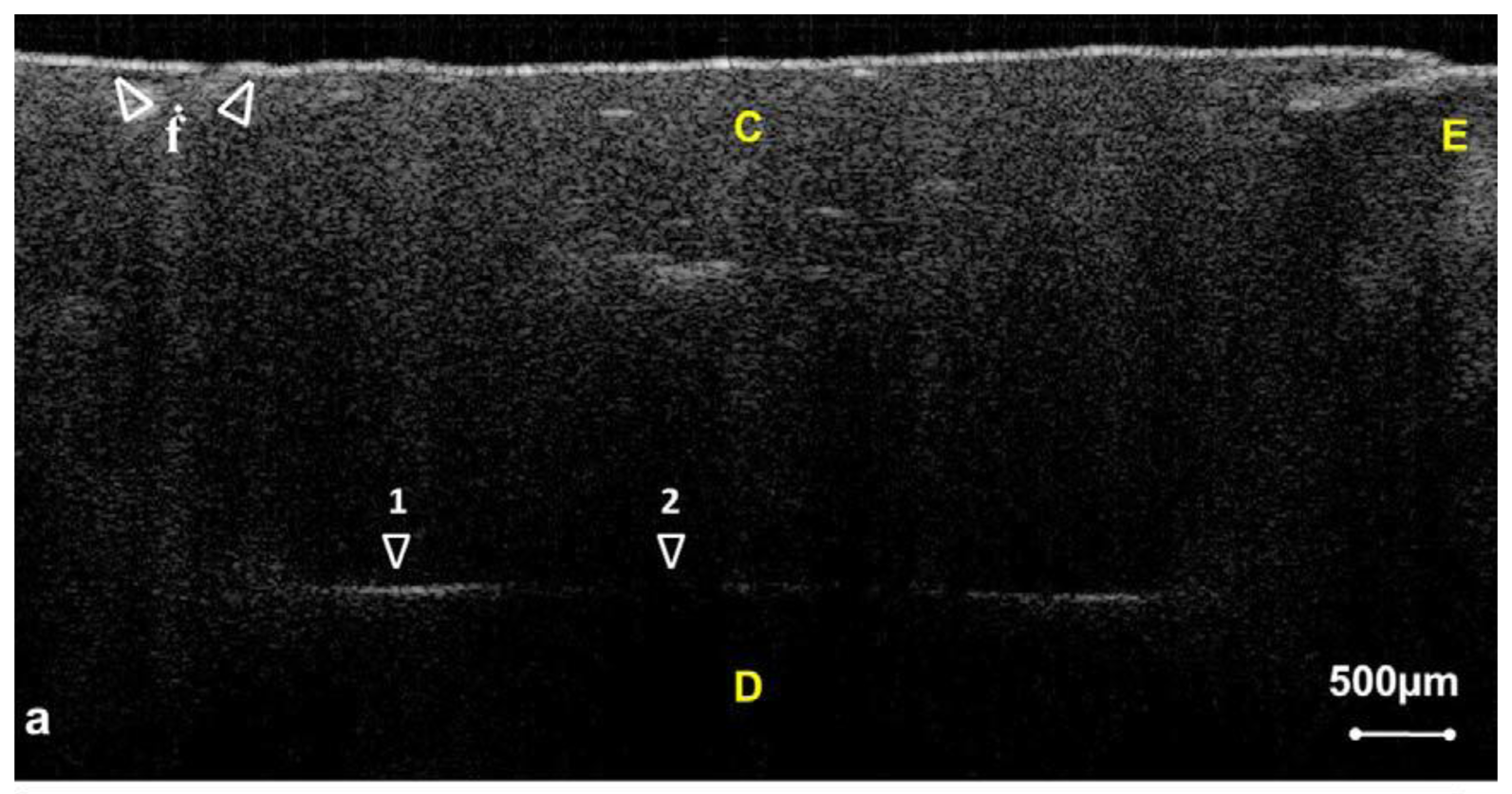 Sensors 13 08928f5 1024