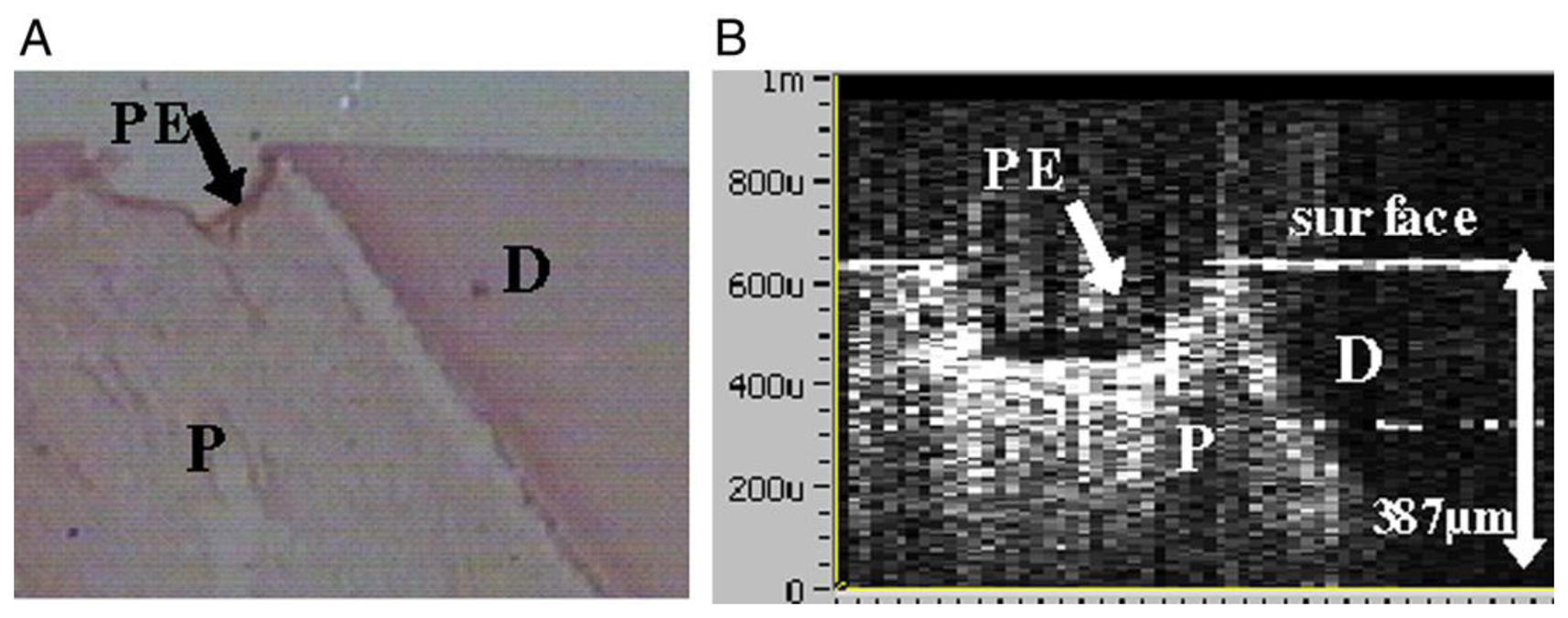 Sensors 13 08928f8 1024