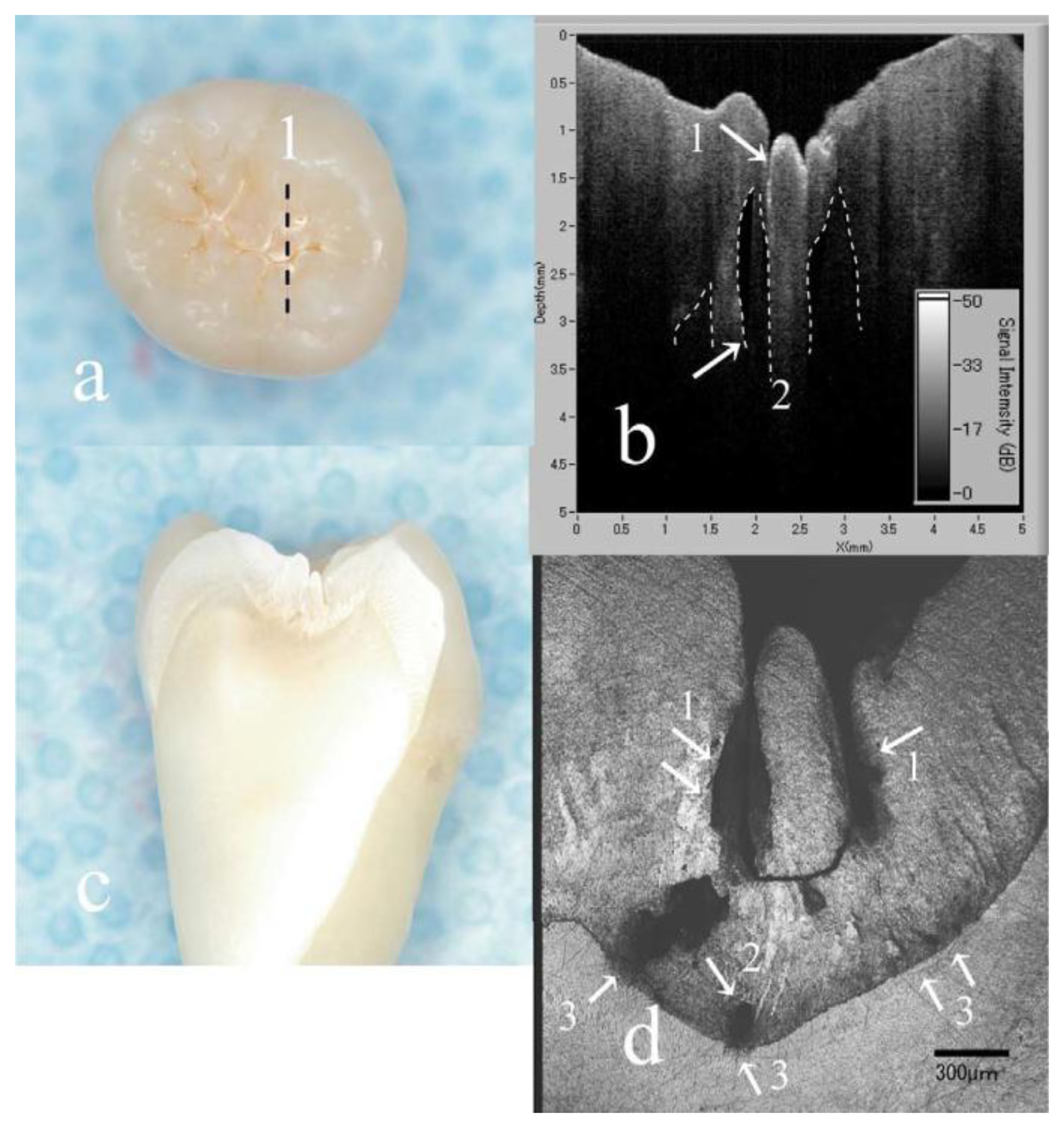 Sensors 13 08928f9 1024