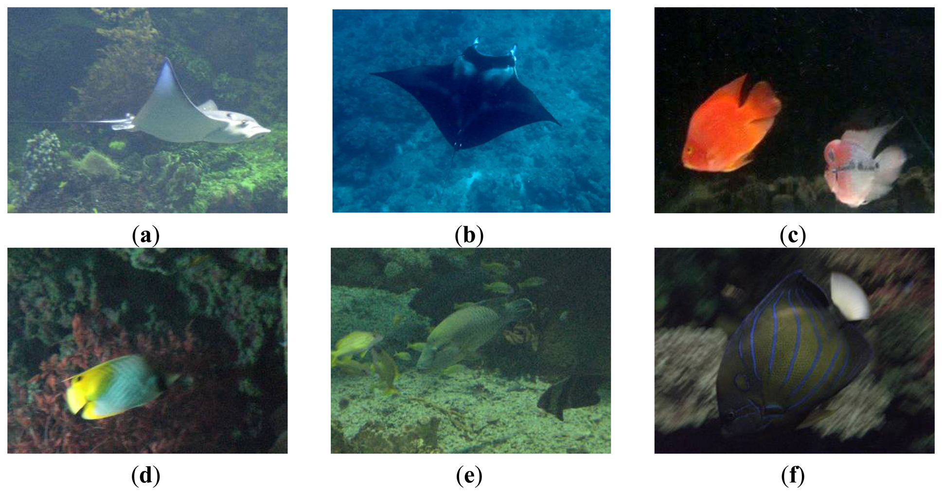 Sensors 13 09104f5 1024