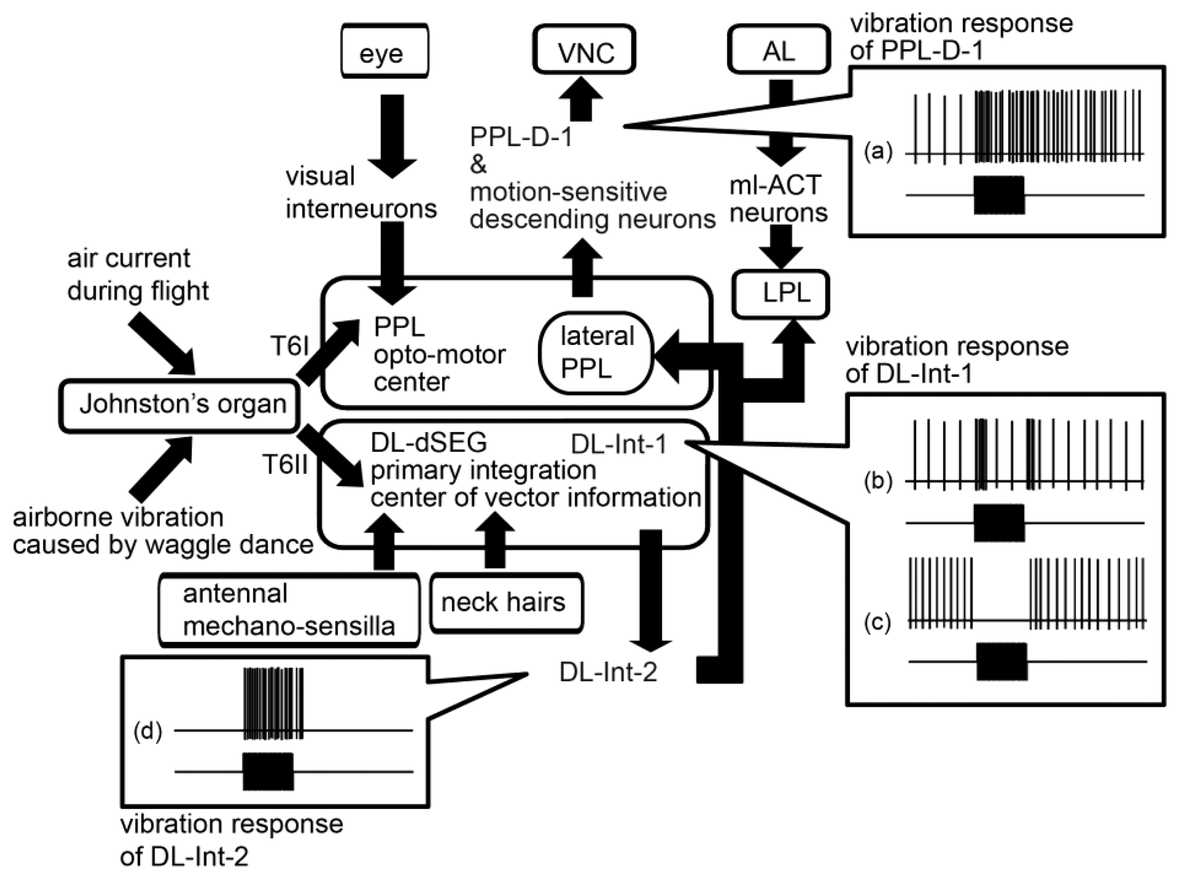 Sensors 13 09344f8 1024