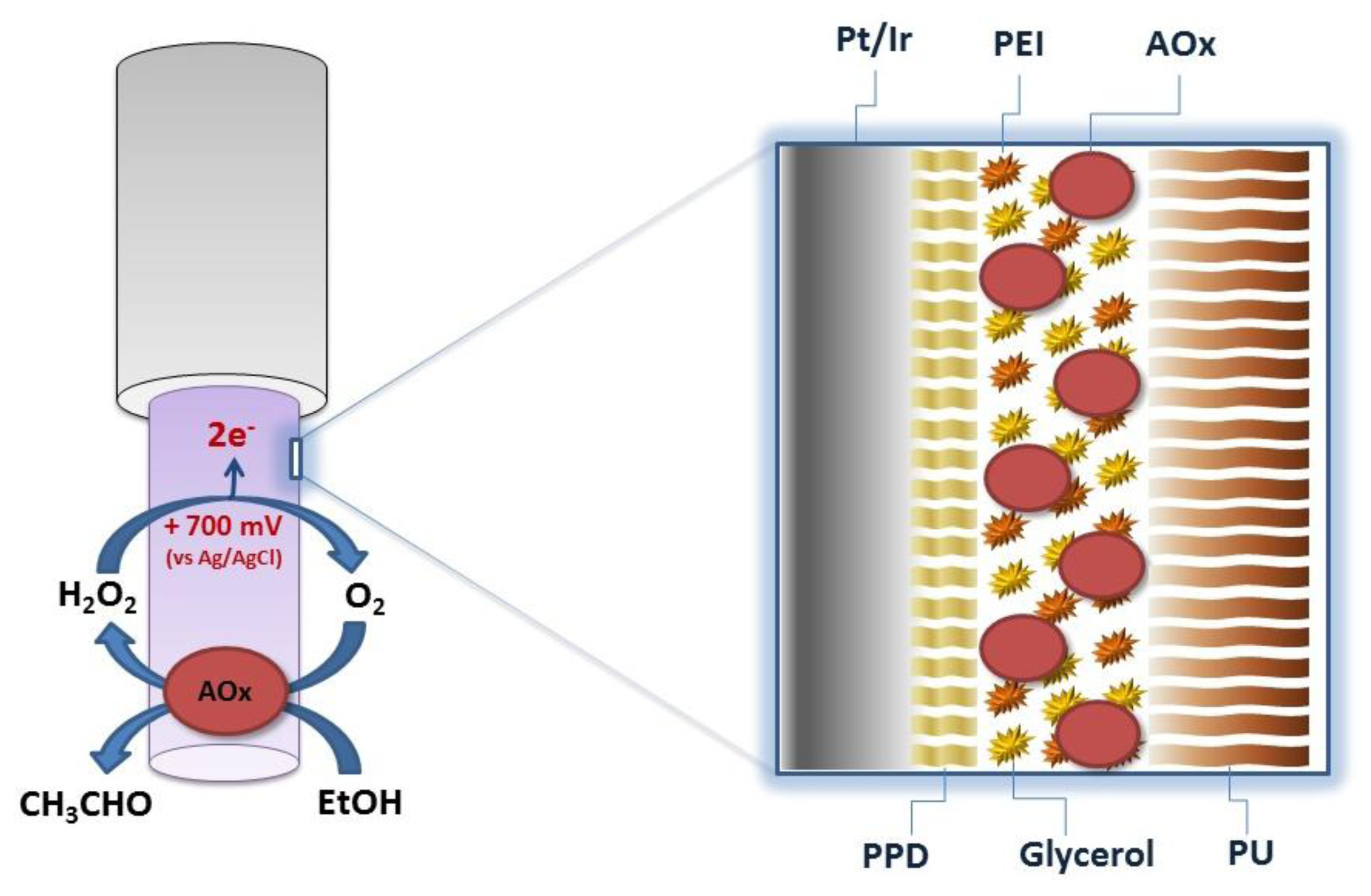 Sensors 13 09522f1 1024