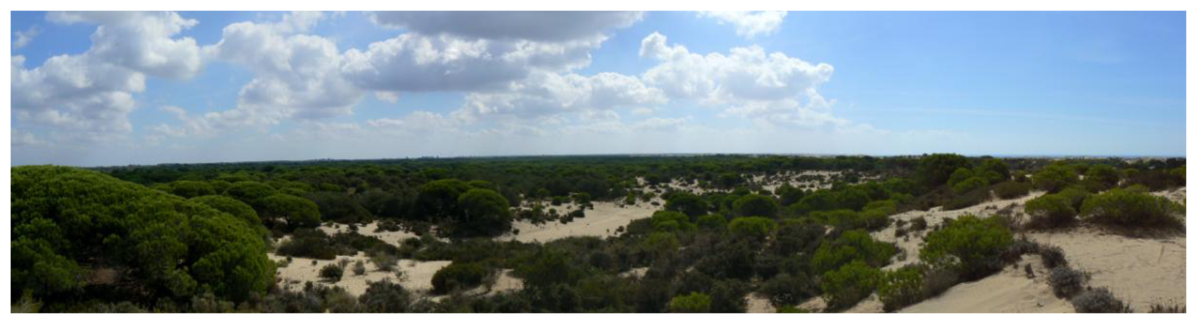 Sensors 13 12044f1 1024