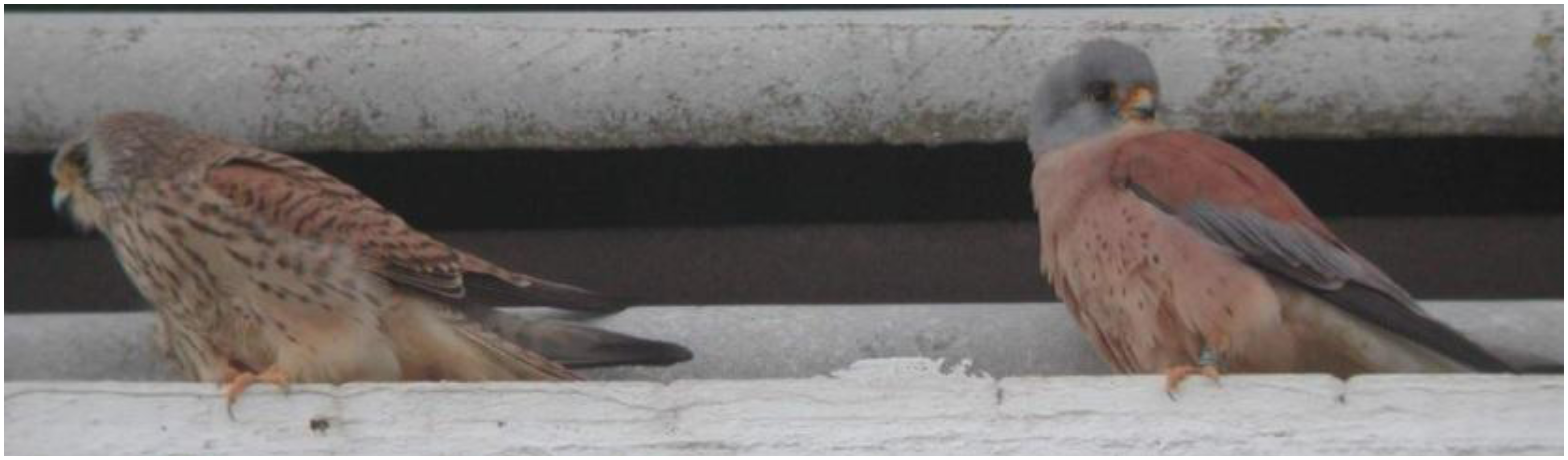 Sensors 13 12044f15 1024