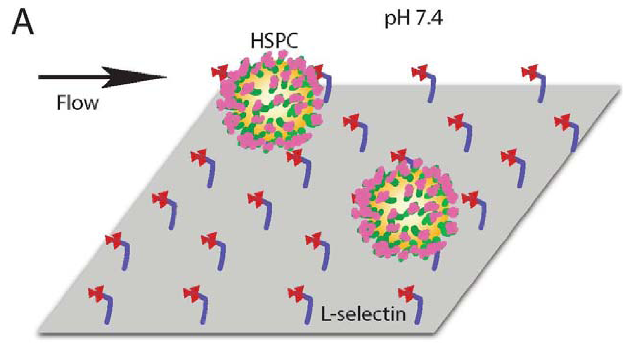 Sensors 13 12516f4a 1024