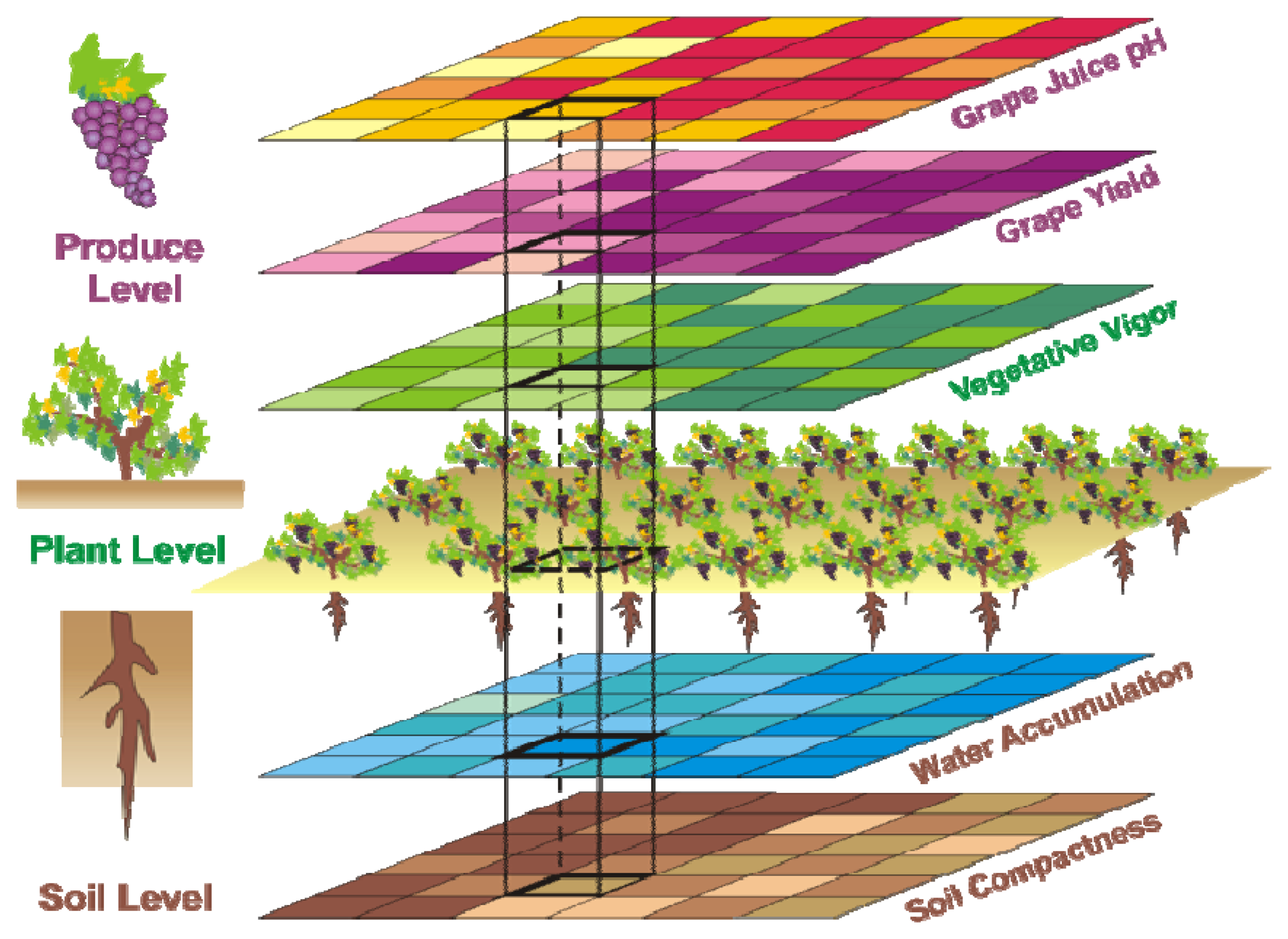Sensors 13 12698f1 1024