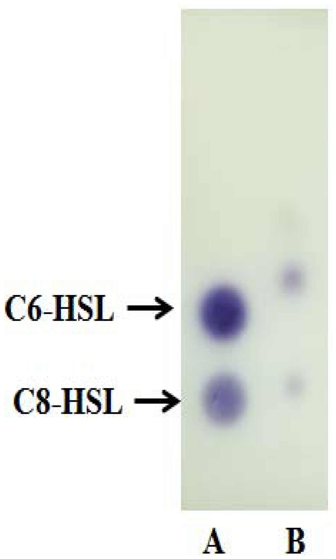 Sensors 13 13217f4 1024
