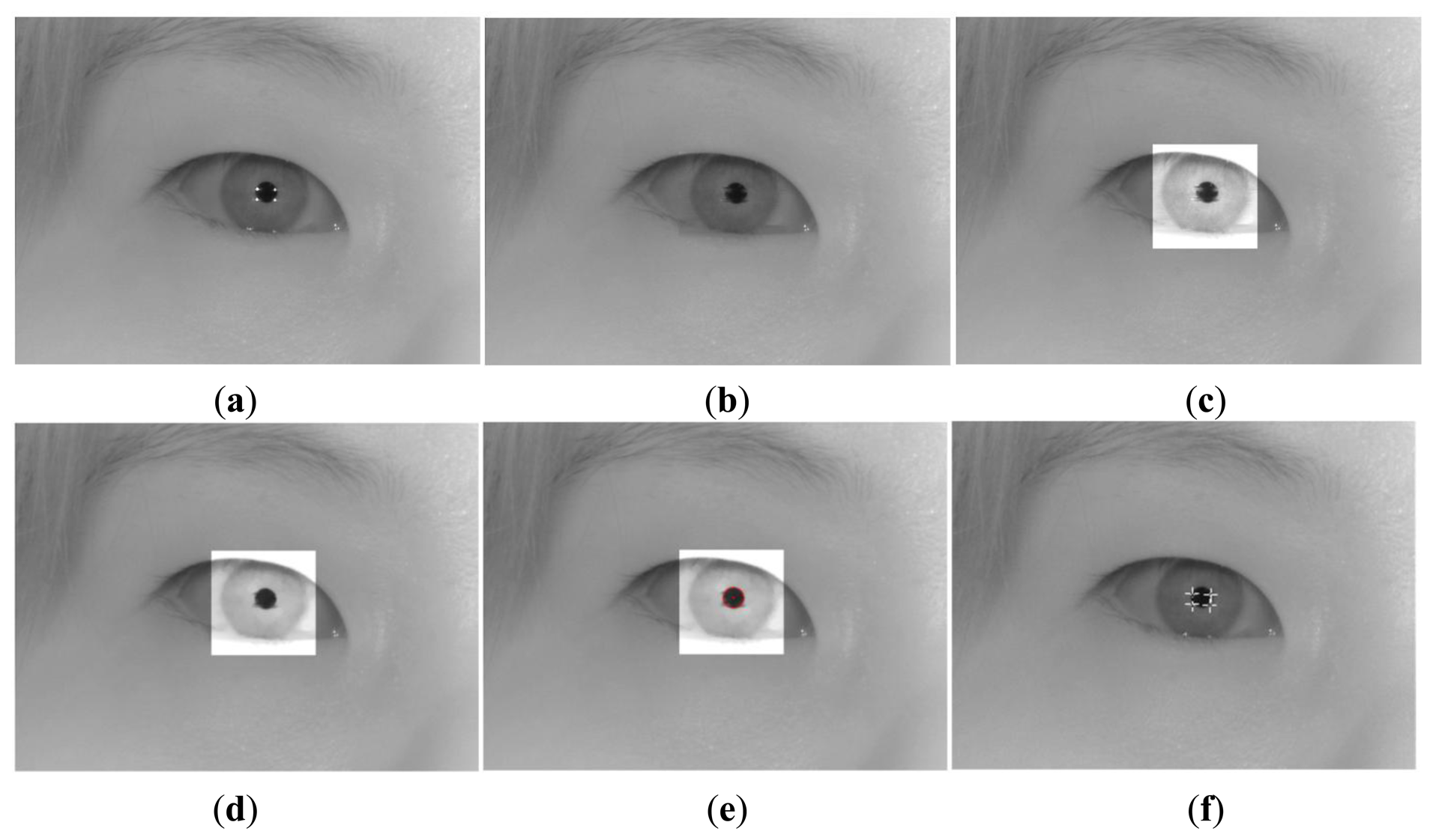 Sensors 13 13439f10 1024