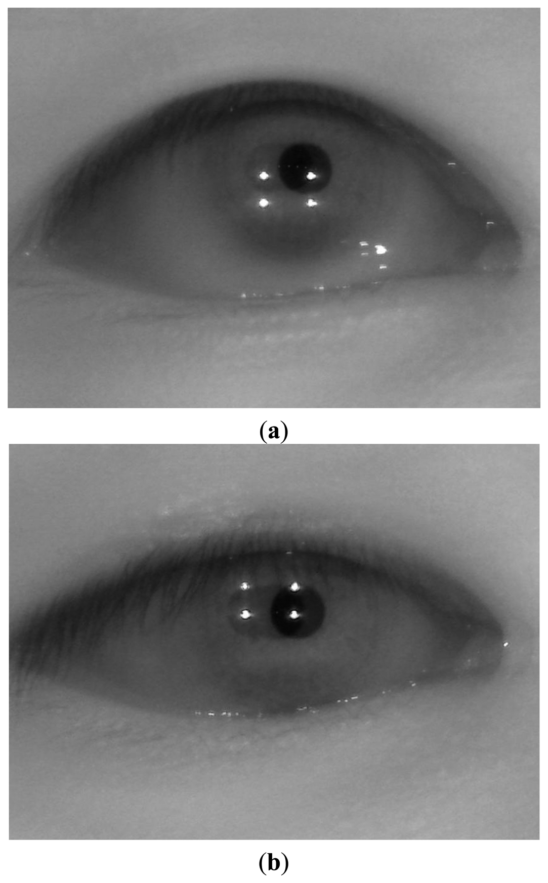 Sensors 13 13439f14 1024