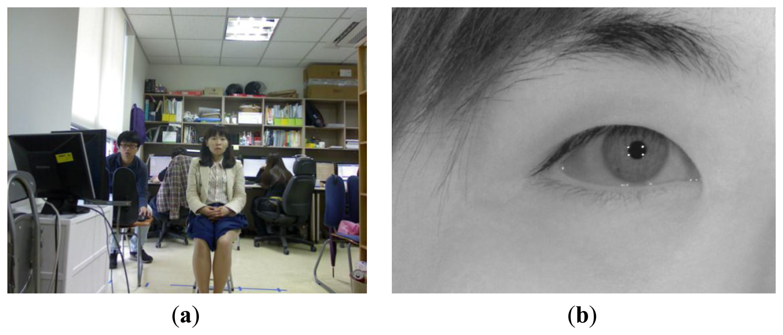 Sensors 13 13439f4 1024