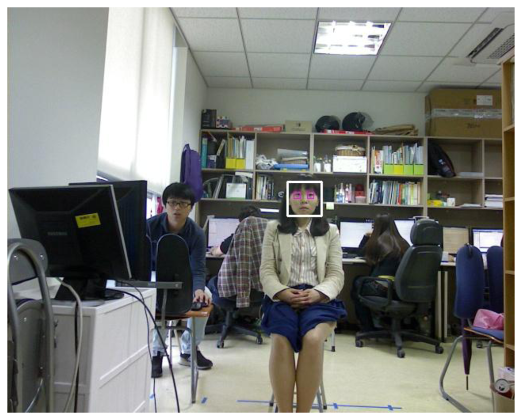 Sensors 13 13439f6 1024