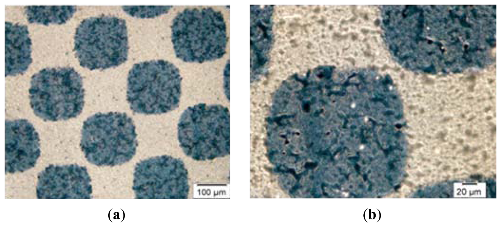 Sensors 13 14277f1 1024