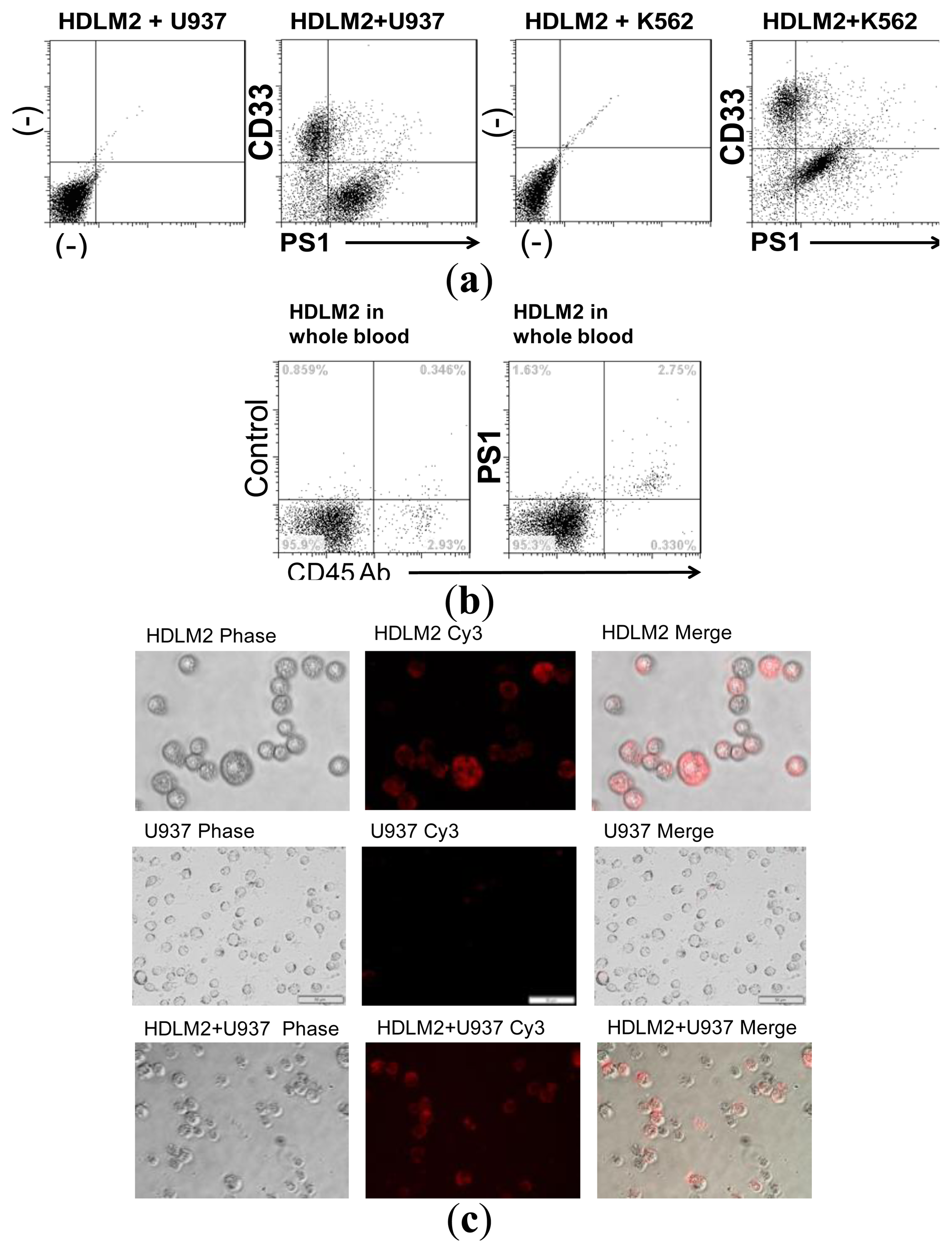 Sensors 13 14543f5 1024