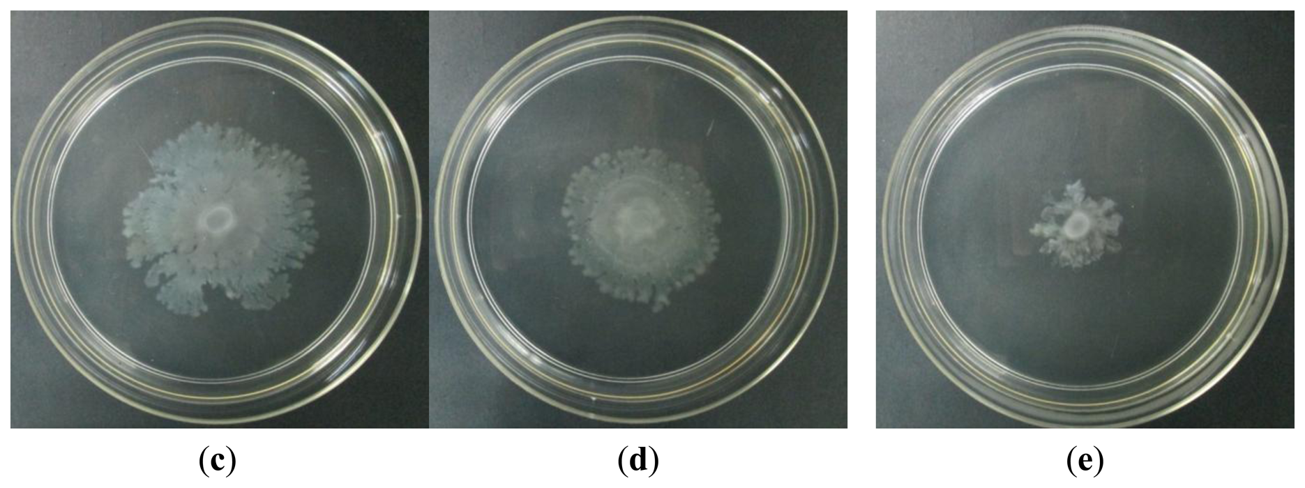 Sensors 13 14558f6b 1024