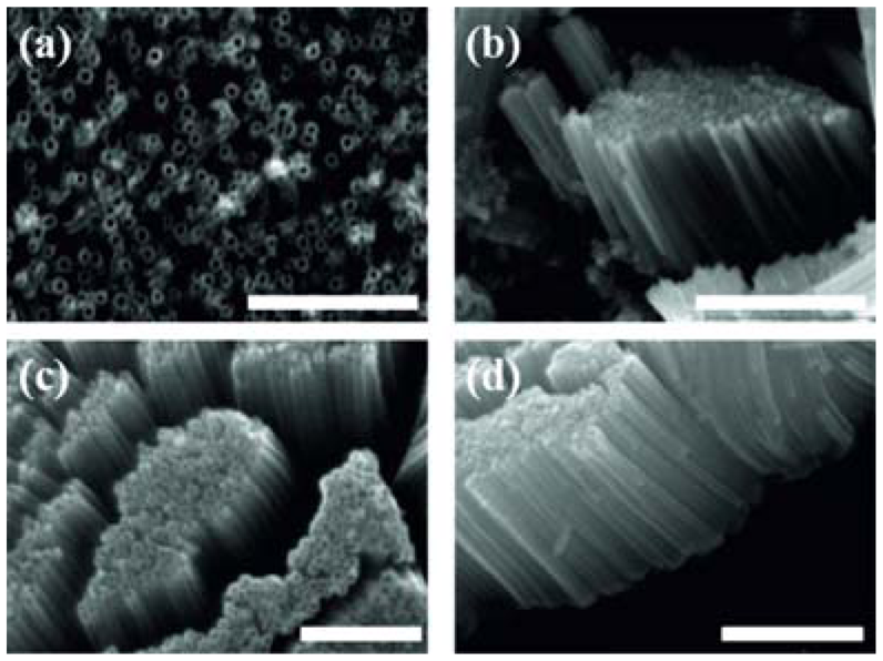 Sensors 13 14813f6 1024