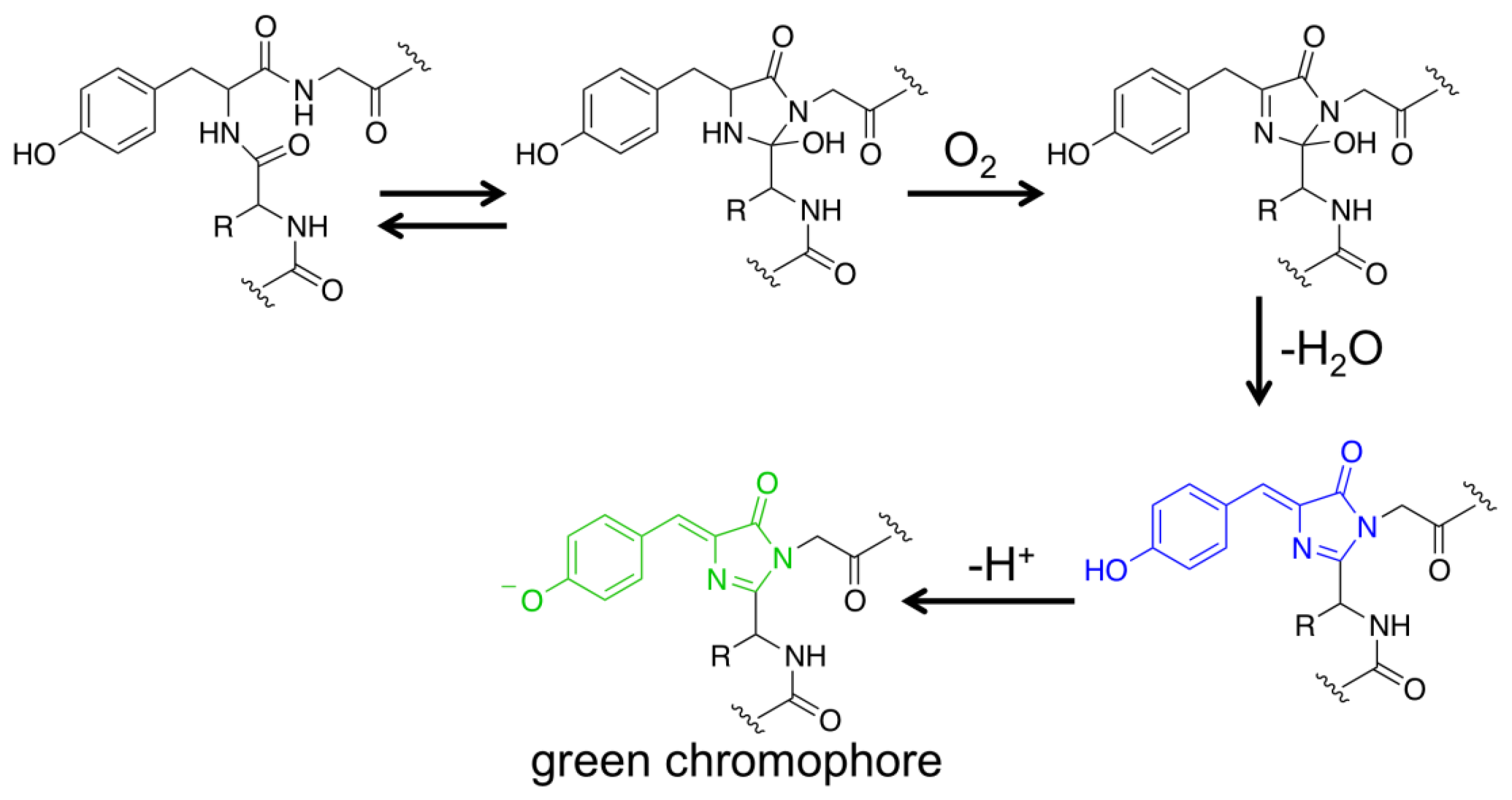 Sensors 13 15422f1 1024