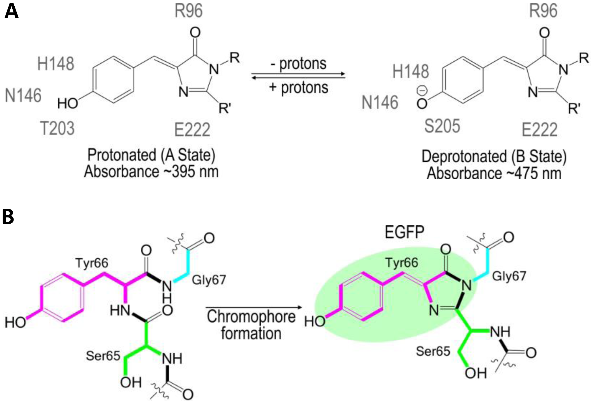 Sensors 13 16736f1 1024