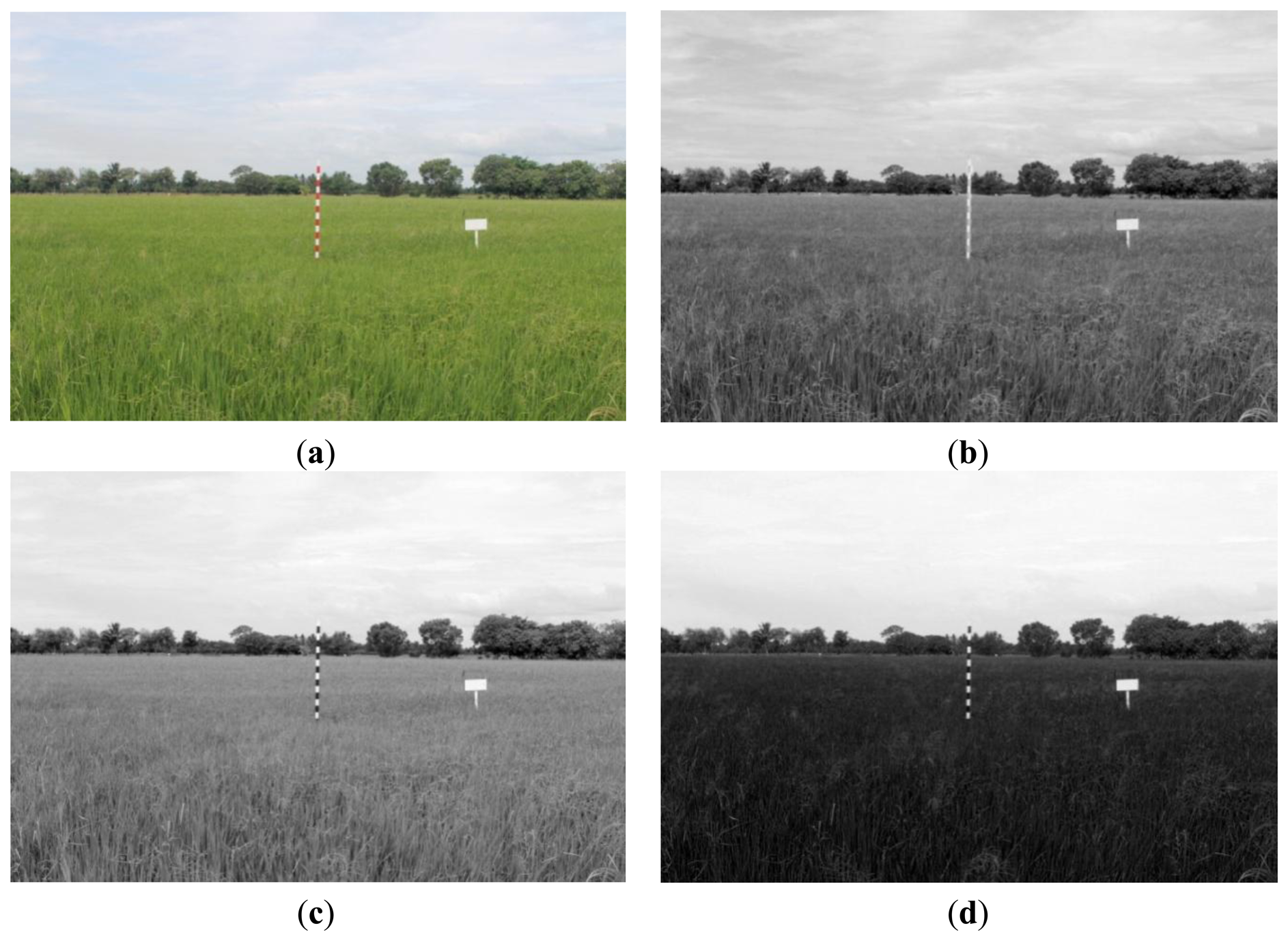 Sensors 14 00900f4 1024